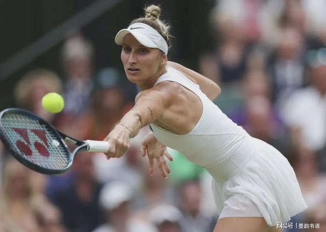 赛场上的专 赛场上的专